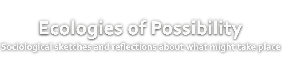 Ecologies of Possibility